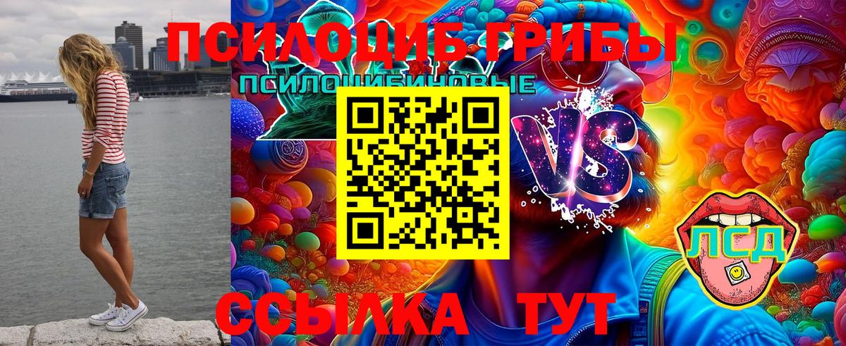 Верхняя Салда  Псилоцибиновые грибы мухоморы  Вход с VPN 