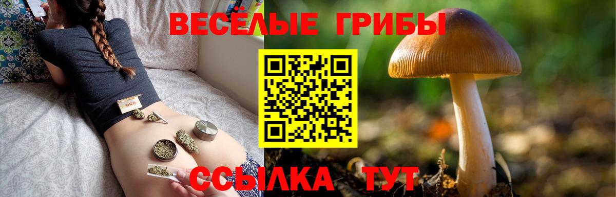 Галлюциногенные грибы прущие грибы Верхняя Салда